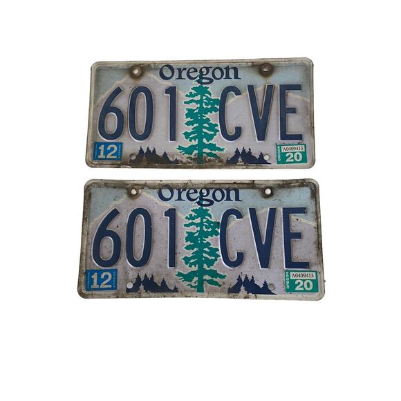Oregon License Plate Matched Pair Tree Mountains 601 CVE 2020 Tag Man Cave Decor - Picture 1 of 2